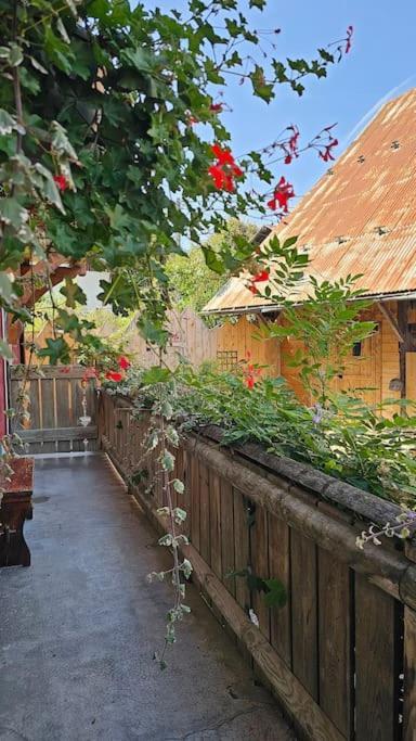 Le Banc Des Seilles Villa Bonvillard Eksteriør billede